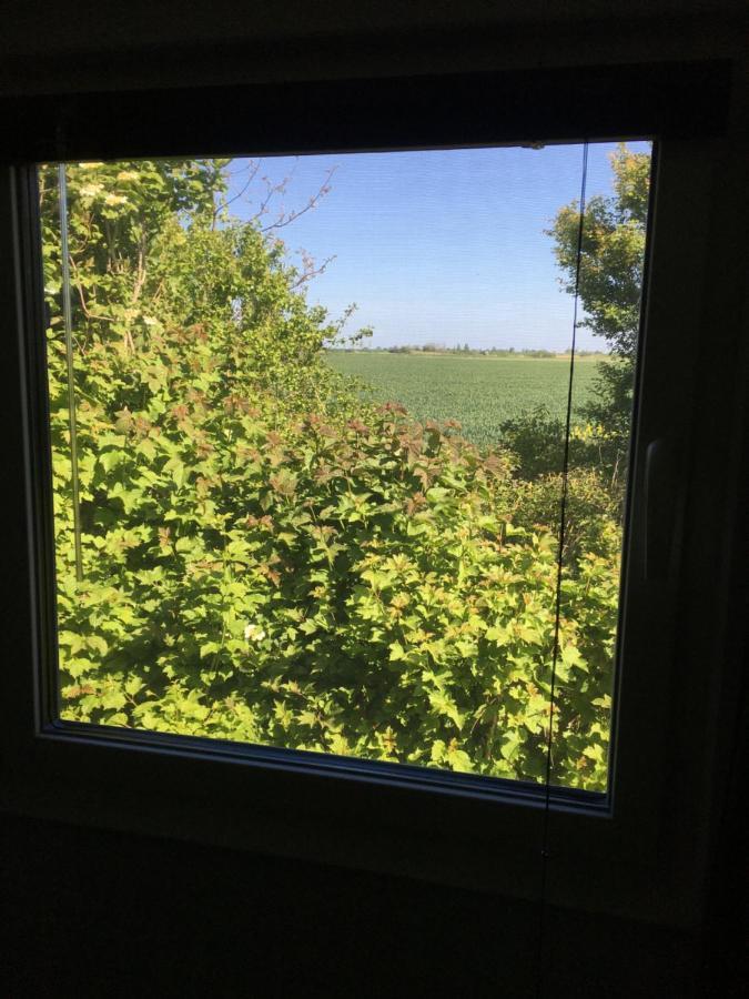Hotel Glamping Aan De Thoolse Kust Poortvliet Esterno foto